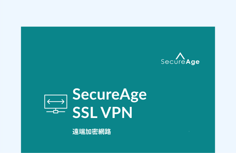 企業 SSL VPN