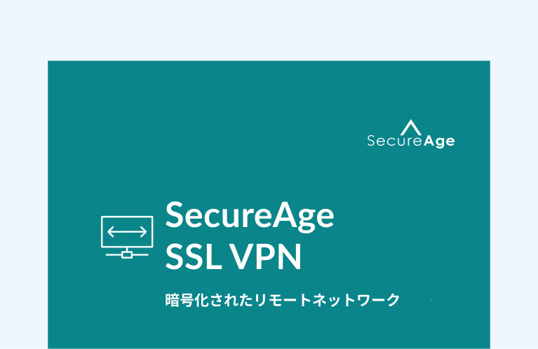 企業用 SSL VPN