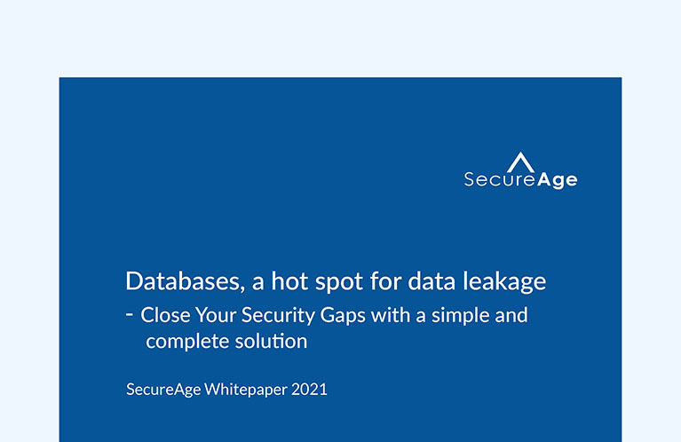 Databases, a hot spot for data leakage